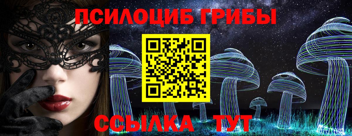 Сарапул  как найти   Вход с VPN  Галлюциногенные грибы Psilocybine cubensis 