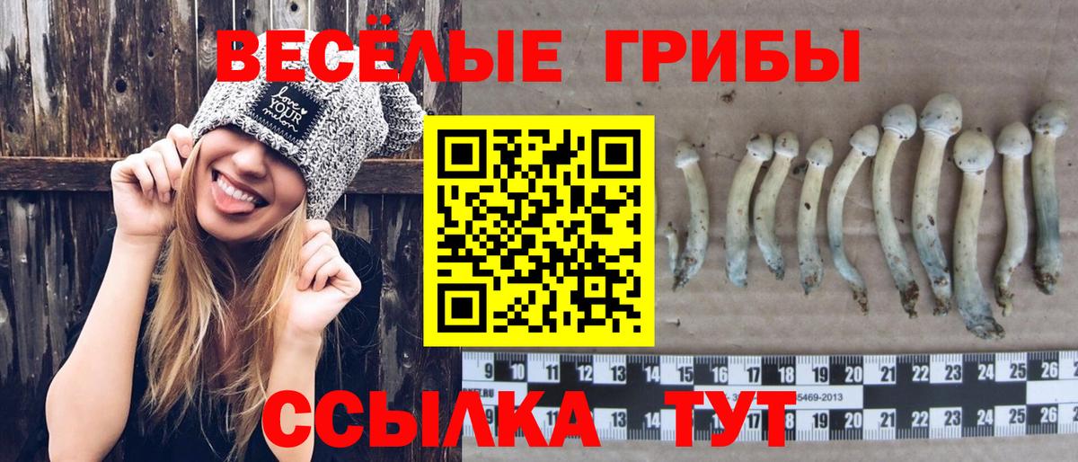 Галлюциногенные грибы мицелий Сарапул
